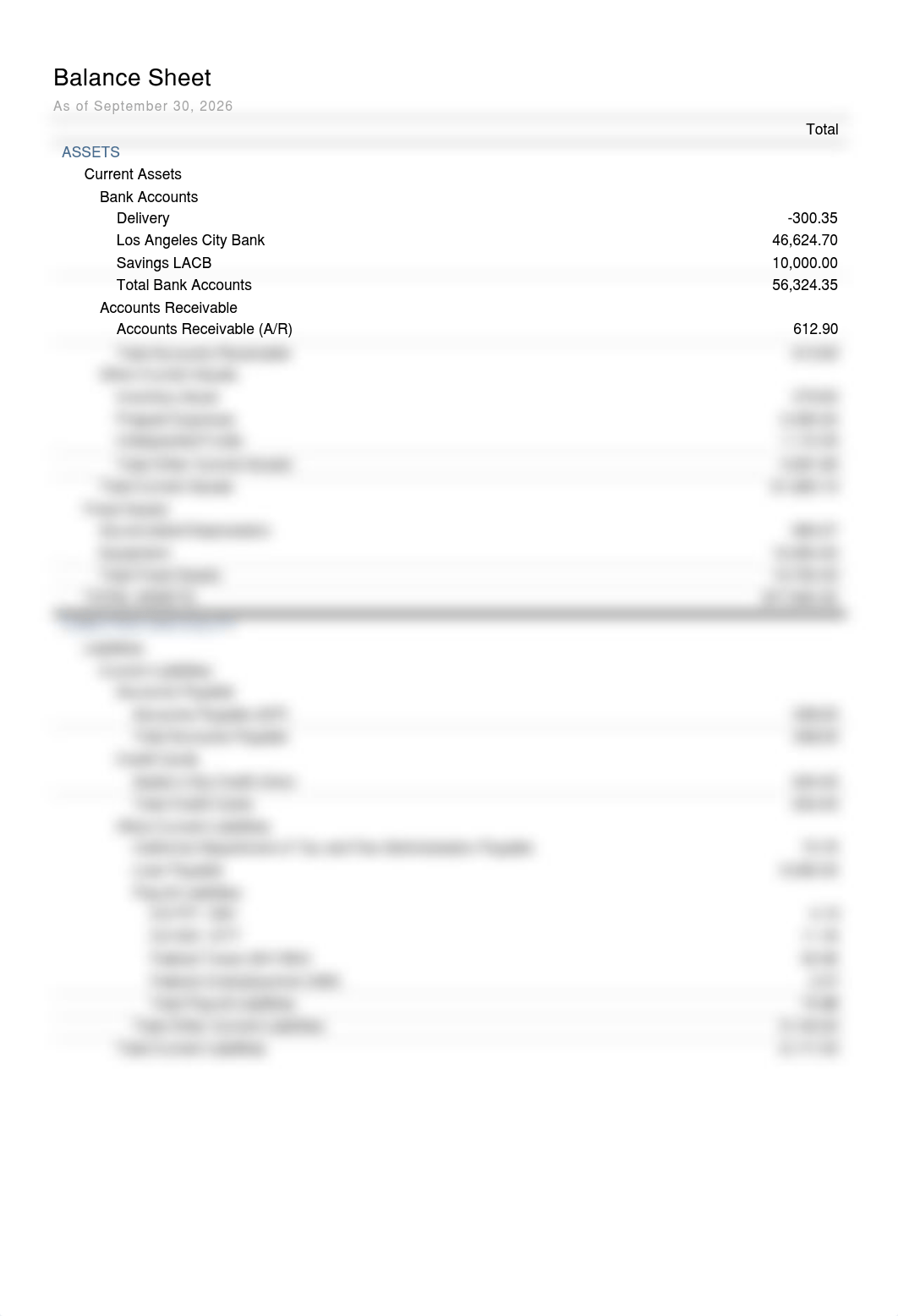 CH 11 Management Report Package.pdf_dfn3vkyv35v_page4