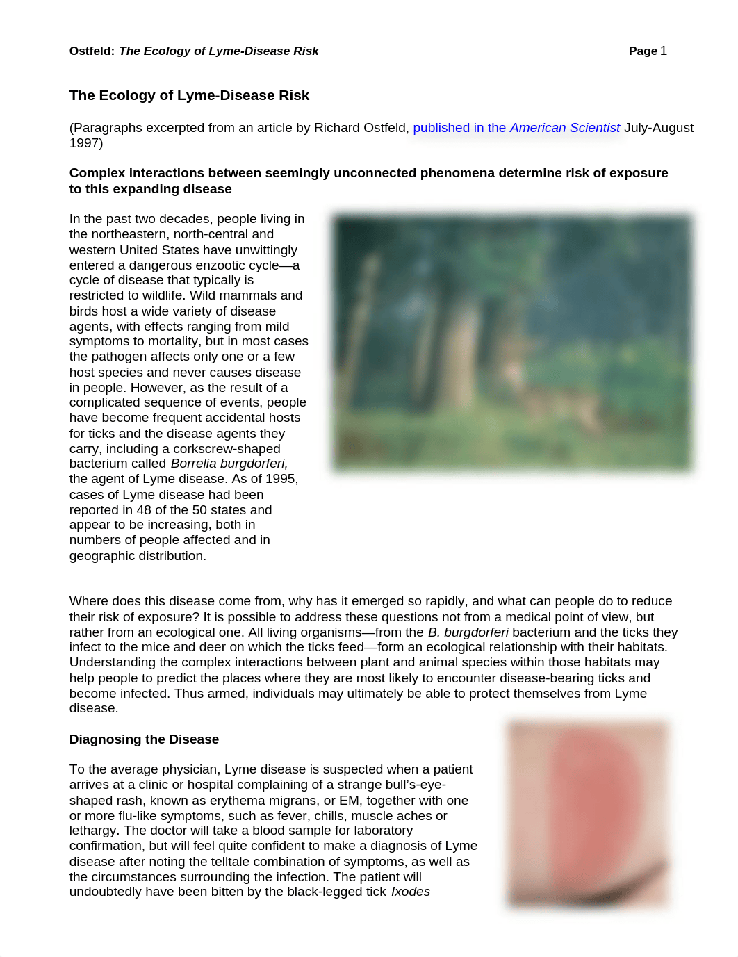 Ostfeld 1997 (The ecology of Lyme-Disease Risk) Amer Sci_dfn48x319m4_page1