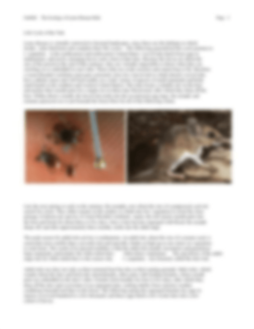 Ostfeld 1997 (The ecology of Lyme-Disease Risk) Amer Sci_dfn48x319m4_page3