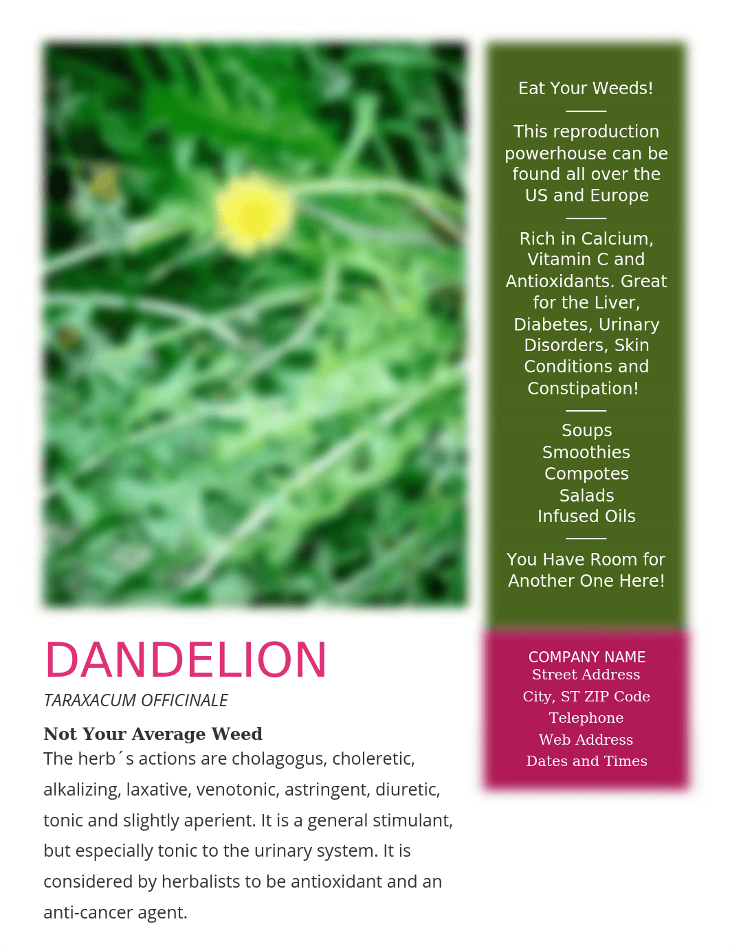 Dandelion handout.docx_dfn9li6sfnz_page1