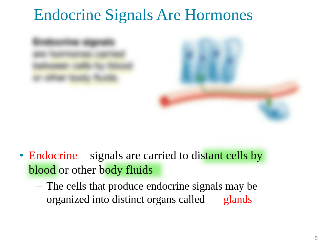 12.2 - Chemical Signals .pdf_dfna4f58xof_page5