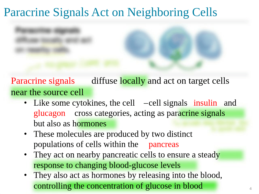 12.2 - Chemical Signals .pdf_dfna4f58xof_page4