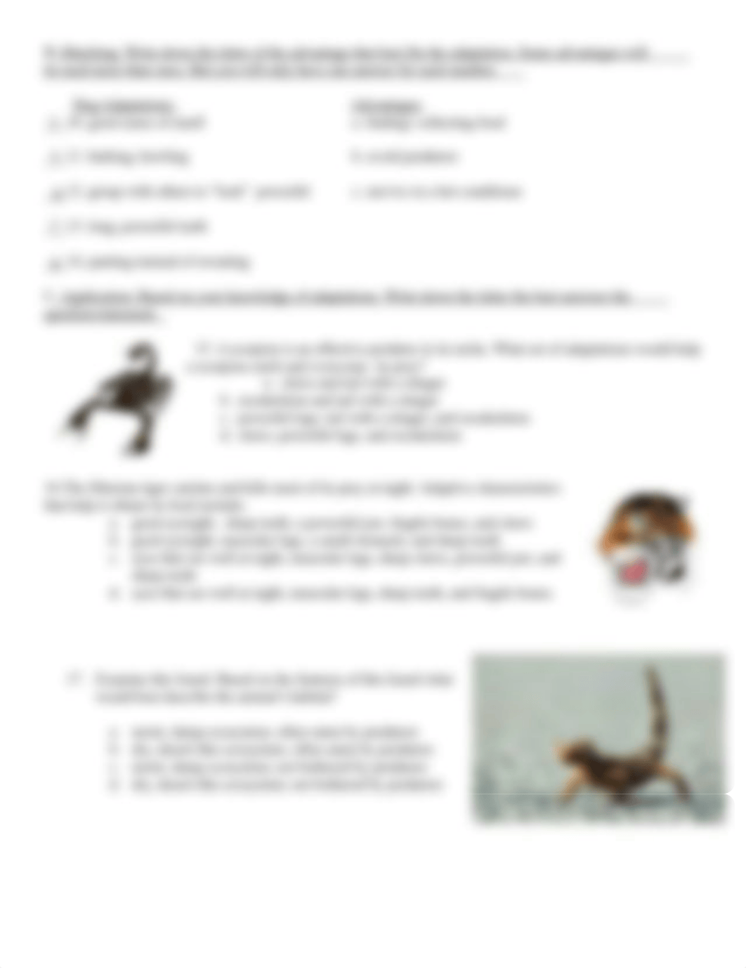 Kami Export - Aniyah Kemp - Natural Selection Test.docx.pdf_dfncrmfg9c6_page2