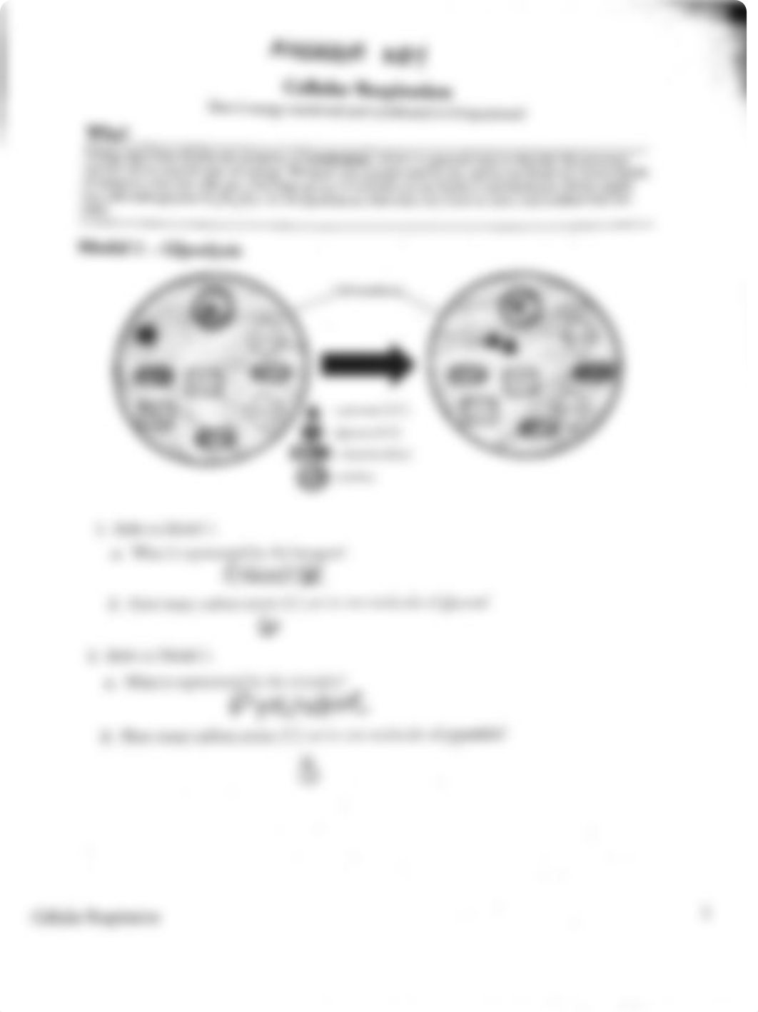 Cellular respiration answer key.pdf_dfnetj54uo9_page1