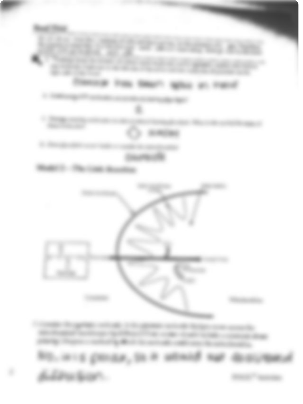 Cellular respiration answer key.pdf_dfnetj54uo9_page2