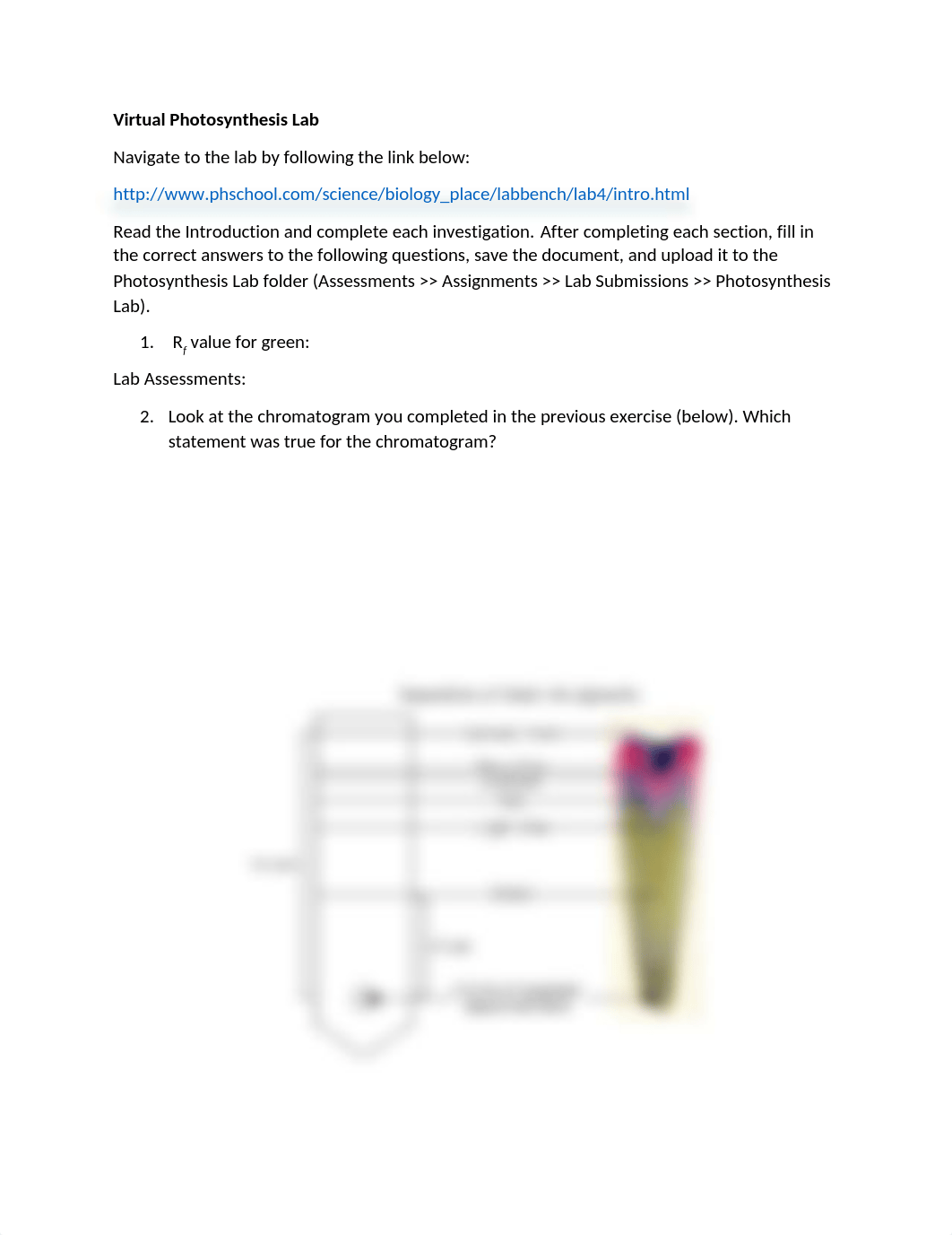 Photosynthesis_Virtual_Lab_Pearson1.docx_dfnj13cs158_page1