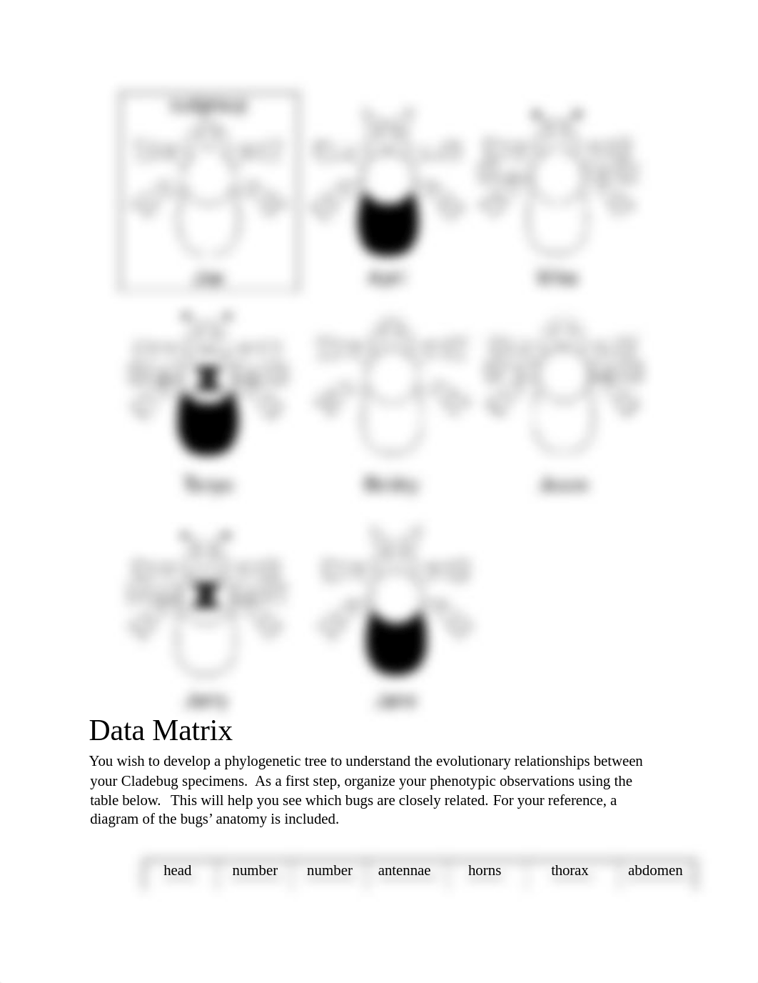 Discussion3_Cladebugs Phylogeny_Module5.docx_dfnr10056dg_page2