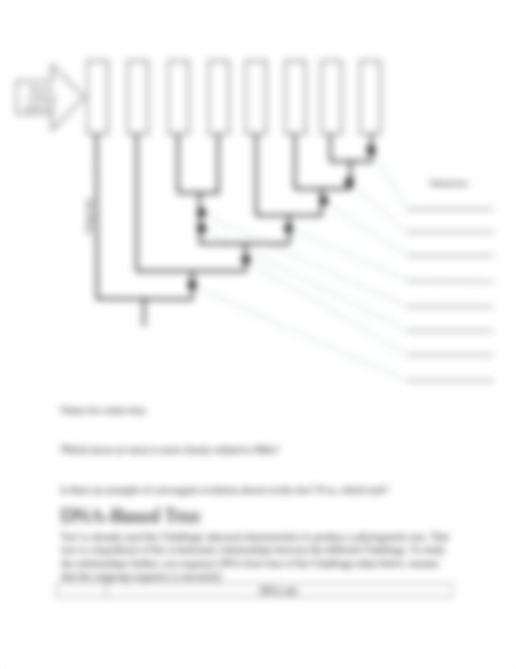 Discussion3_Cladebugs Phylogeny_Module5.docx_dfnr10056dg_page4