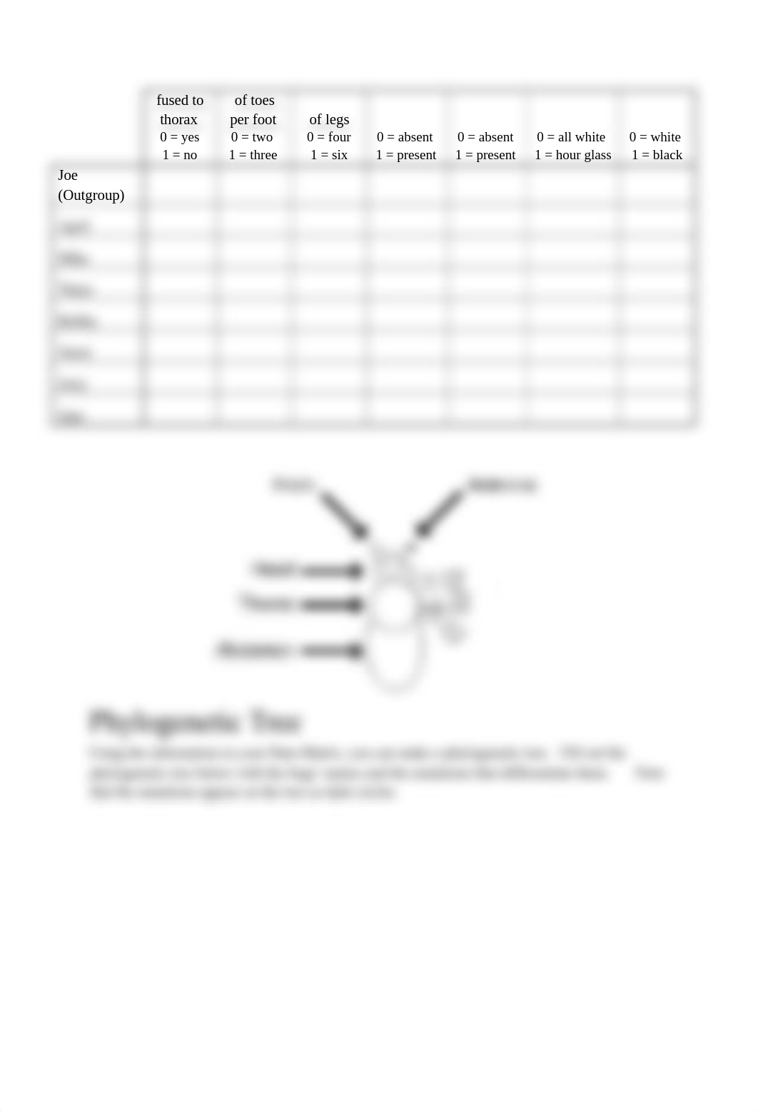 Discussion3_Cladebugs Phylogeny_Module5.docx_dfnr10056dg_page3