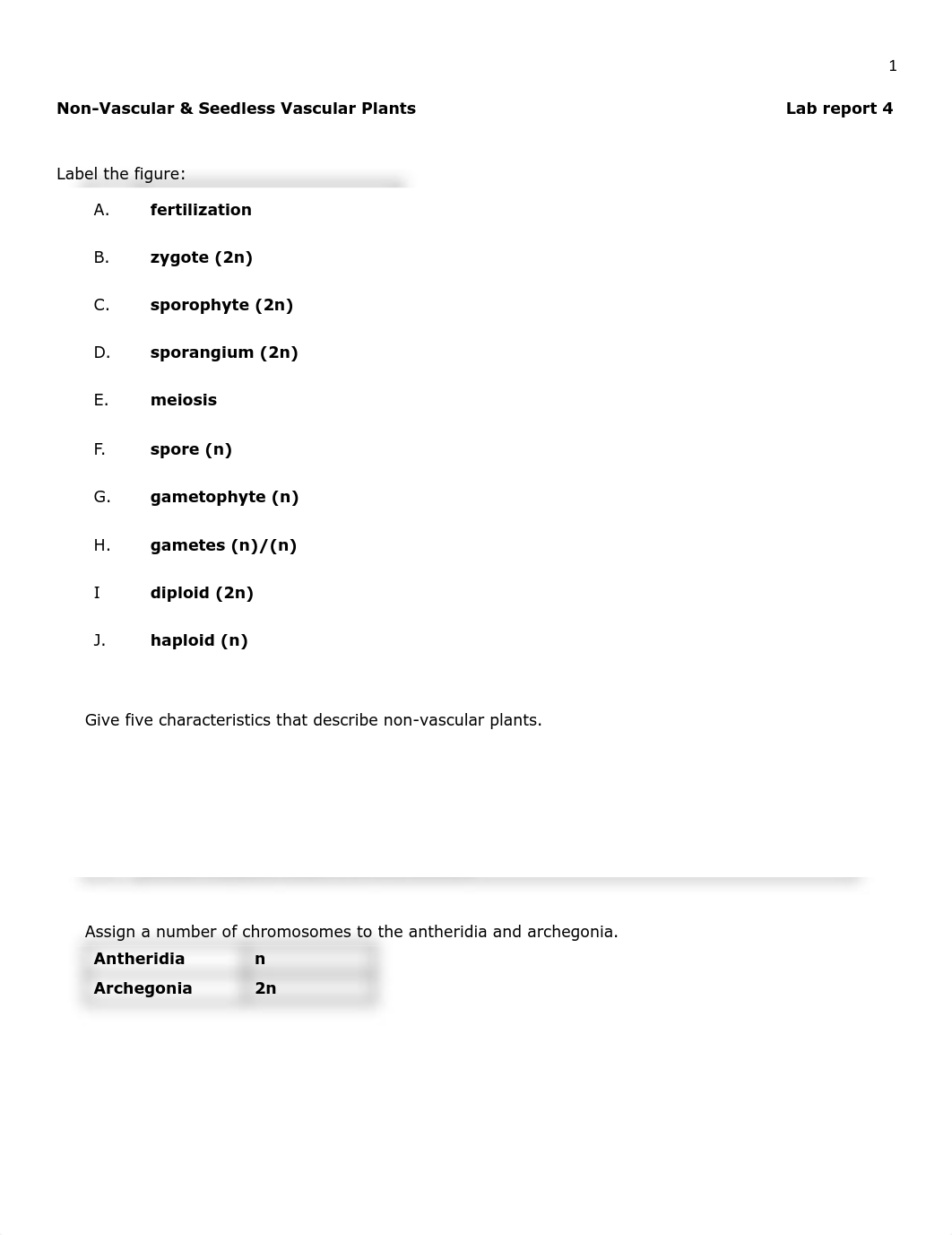 Lab Report 4 NonVascular and Seedless Vascular Plants.docx.pdf_dfnx21soqak_page1