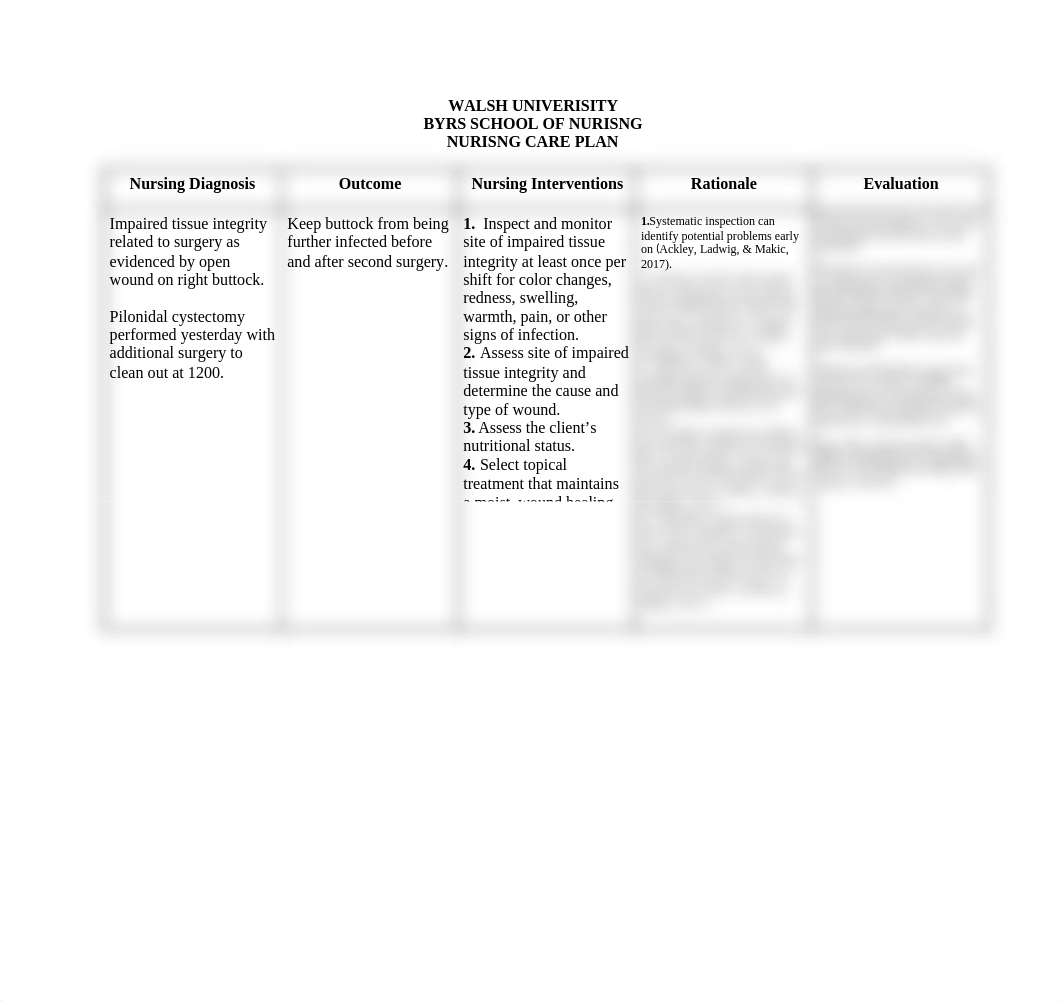 Impaired Tissue Integrity Care Plan.docx_dfo379kngbf_page1