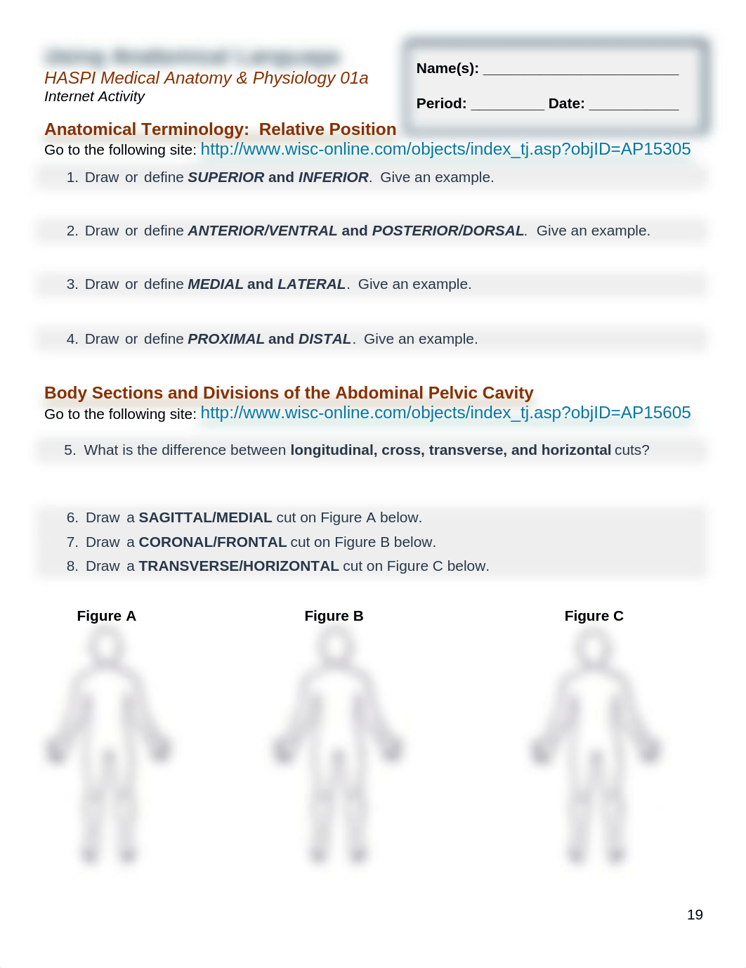 Haspi_using_anatomical_language2017.pdf_dfo46tbmb6s_page1