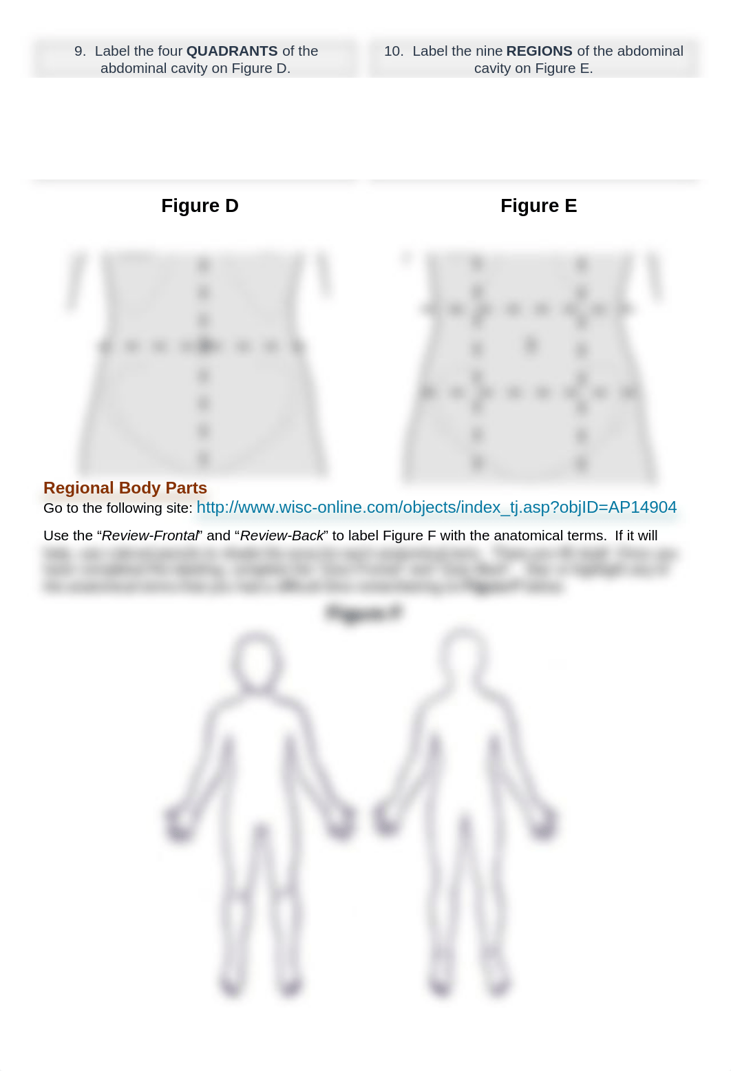 Haspi_using_anatomical_language2017.pdf_dfo46tbmb6s_page2