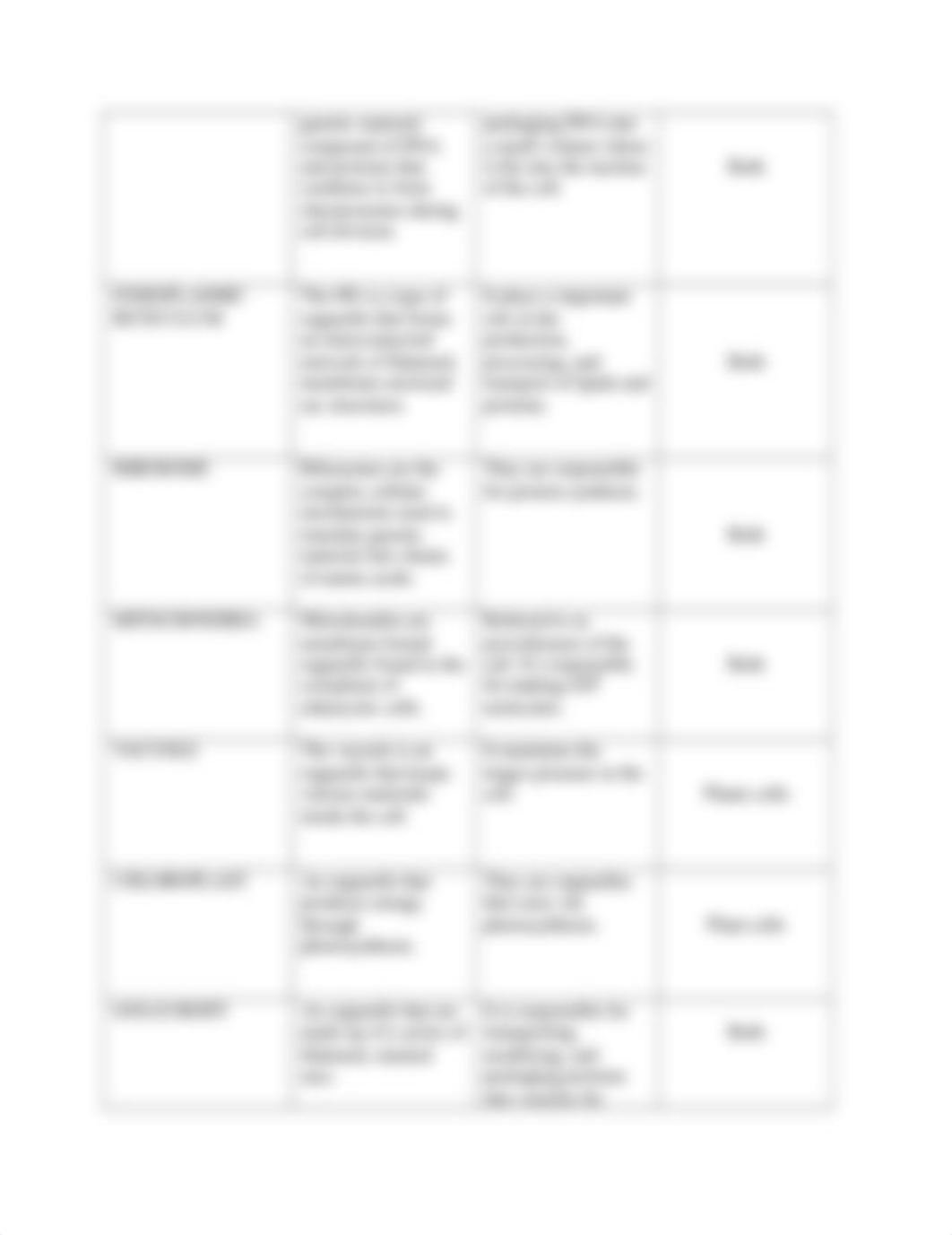 Cell Structure Lab Exercise 1.docx_dfoe55b497z_page2