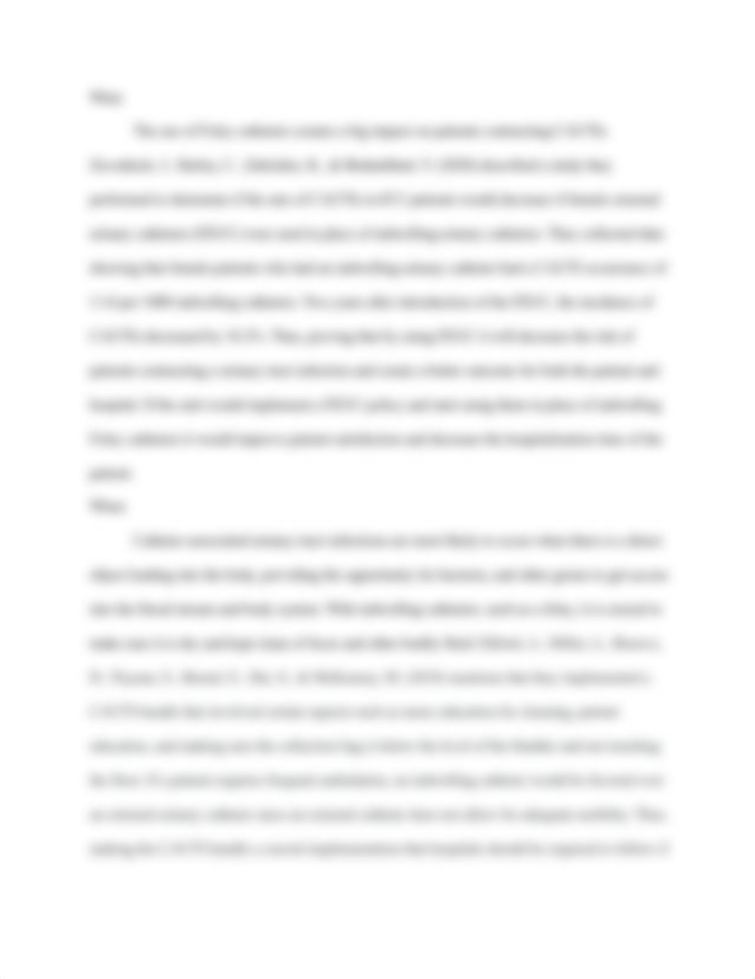 capstone paper.docx_dfog20ne6vb_page2