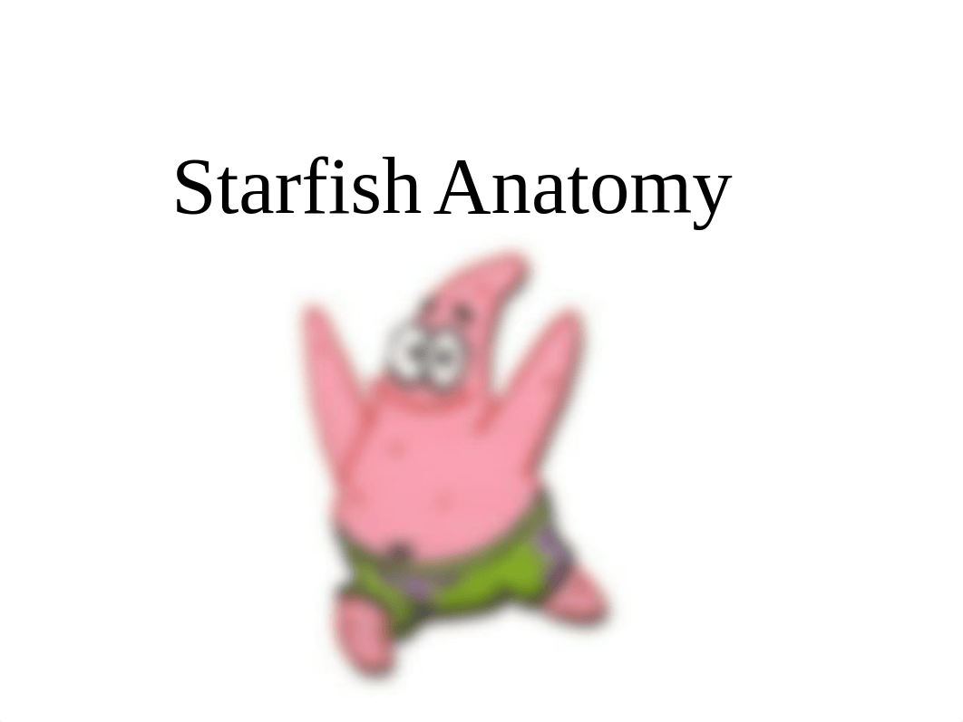 starfish-anatomy-ppnt (1).ppt_dfogxc7xenk_page1