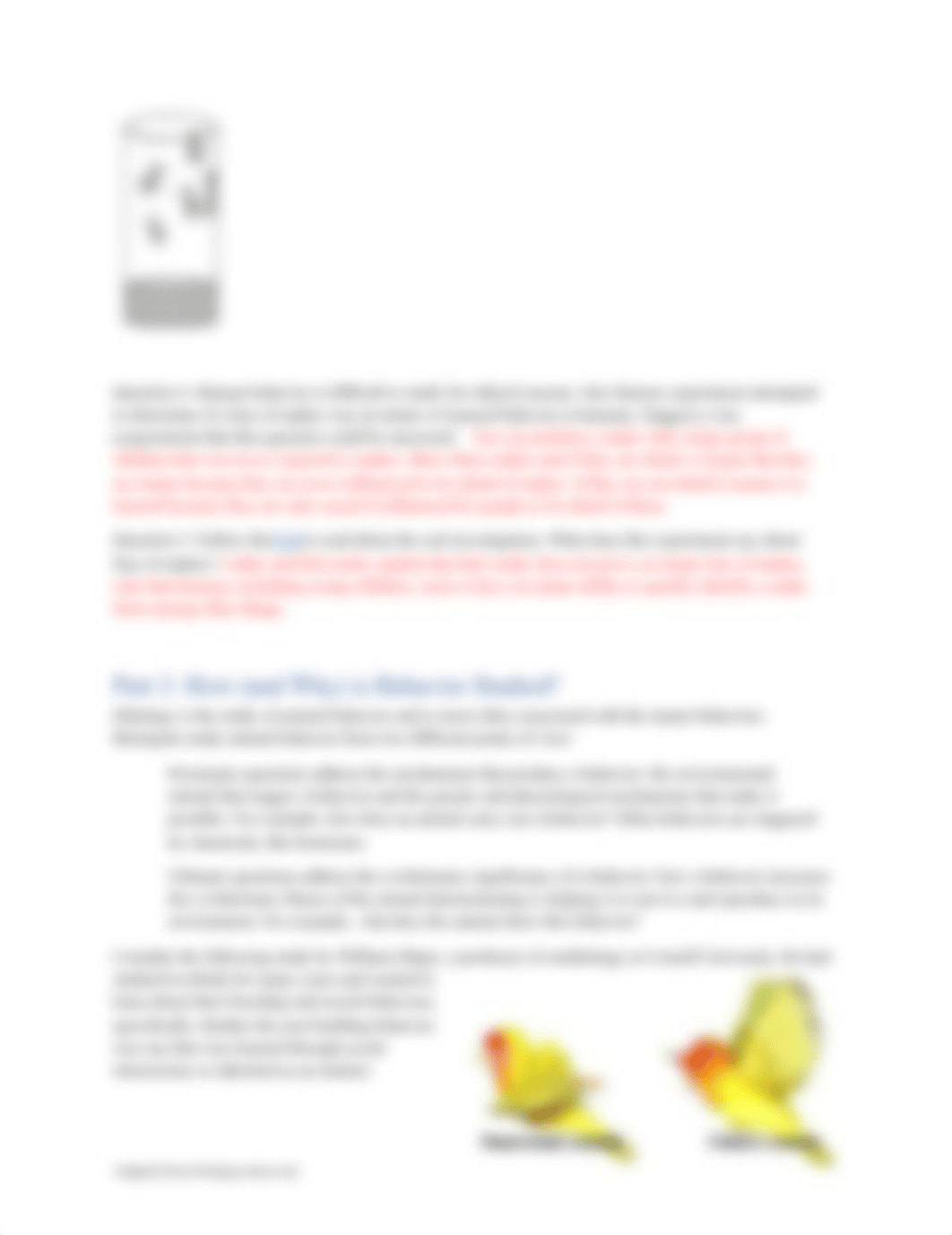 Animal Behavior Investigation.docx_dfoinjonsoe_page2