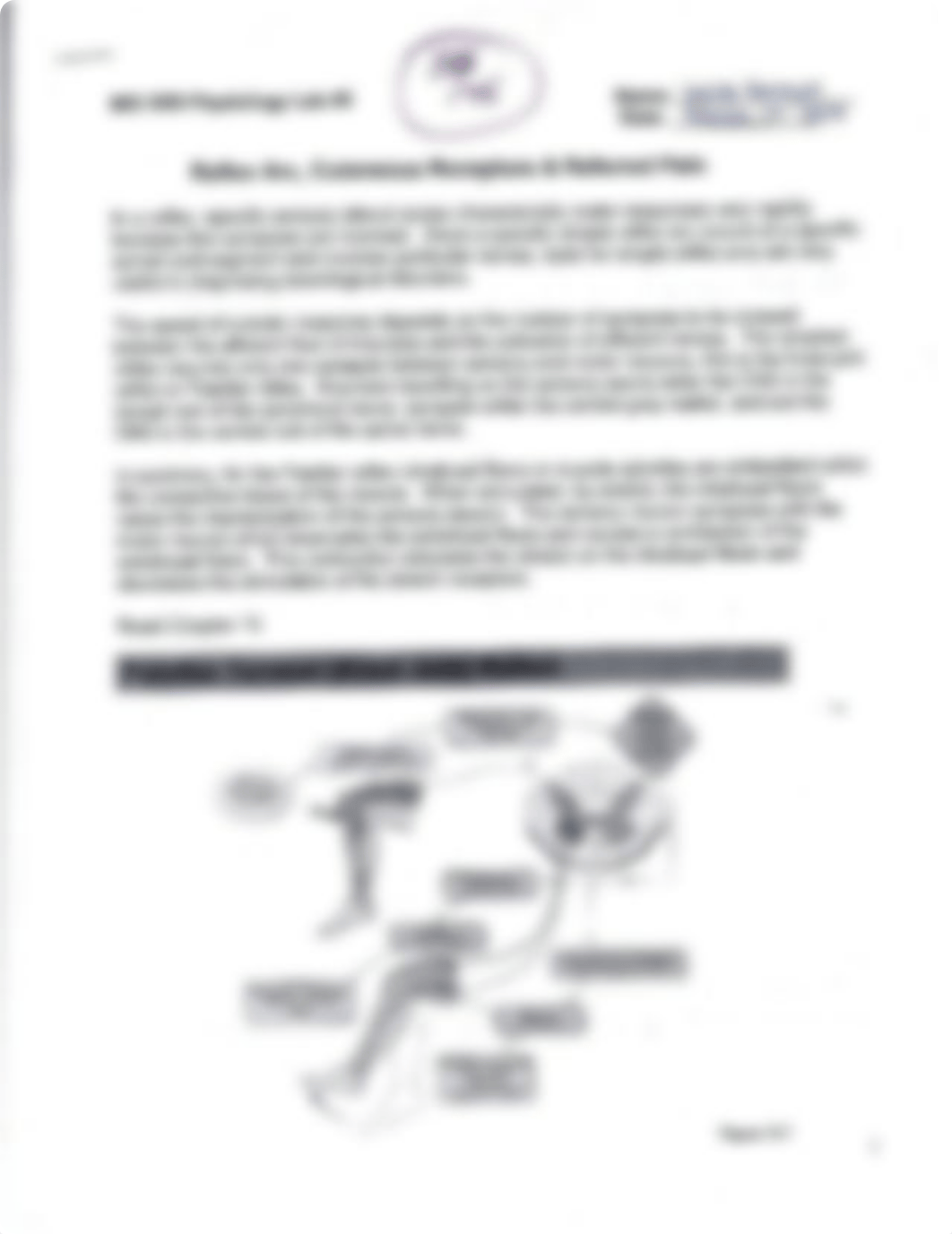 Reflex Arc, Cutaneous Receptors Lab #5_dfom06tgmzb_page1