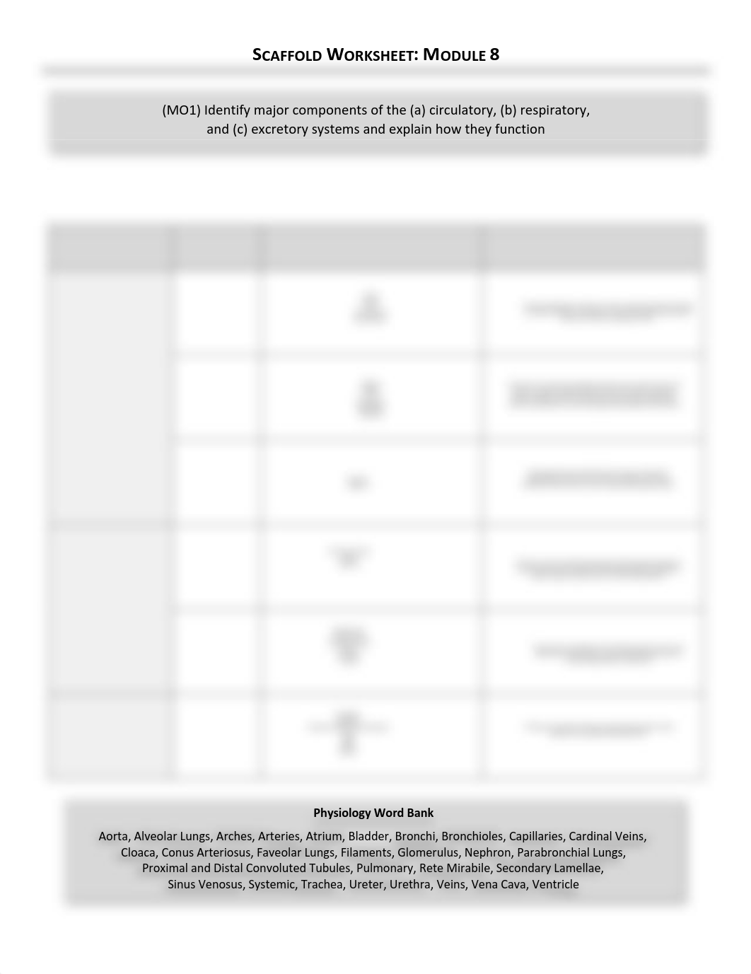 Z374-Scaffold-Worksheet-Module-8.pdf_dfop7i870r1_page1