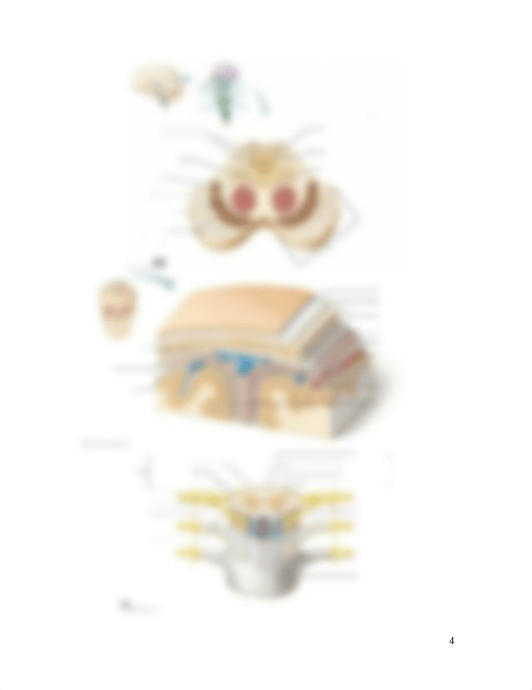 CH 12 assignment CNS-3 (1).docx_dfp6u4cyjhv_page4