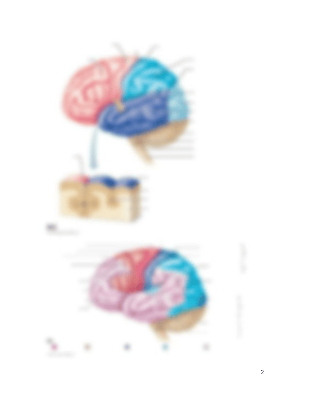 CH 12 assignment CNS-3 (1).docx_dfp6u4cyjhv_page2