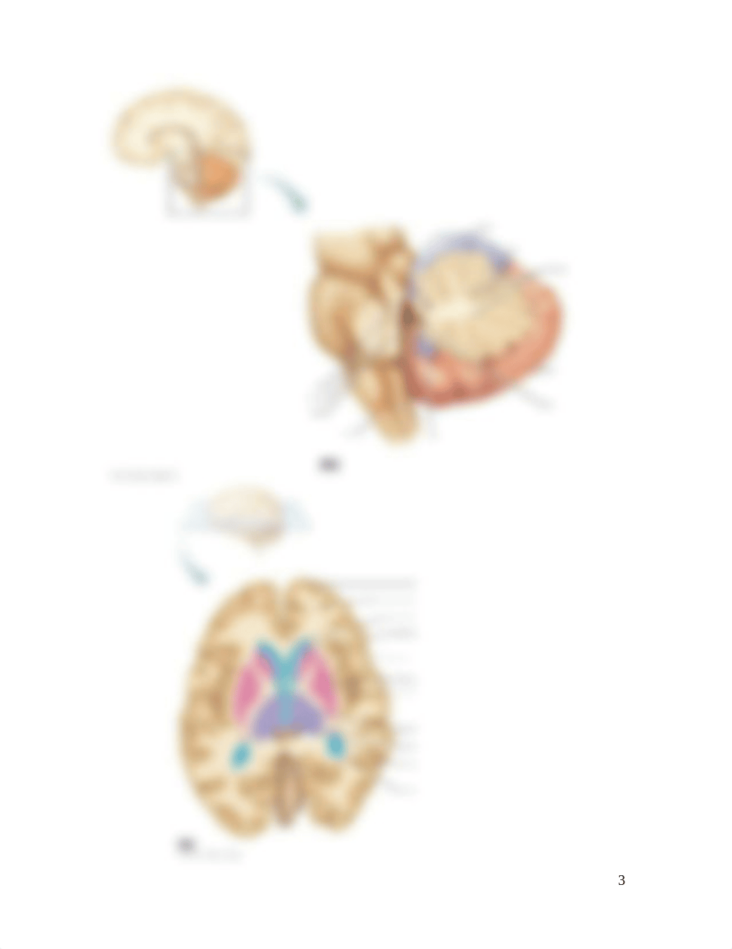 CH 12 assignment CNS-3 (1).docx_dfp6u4cyjhv_page3