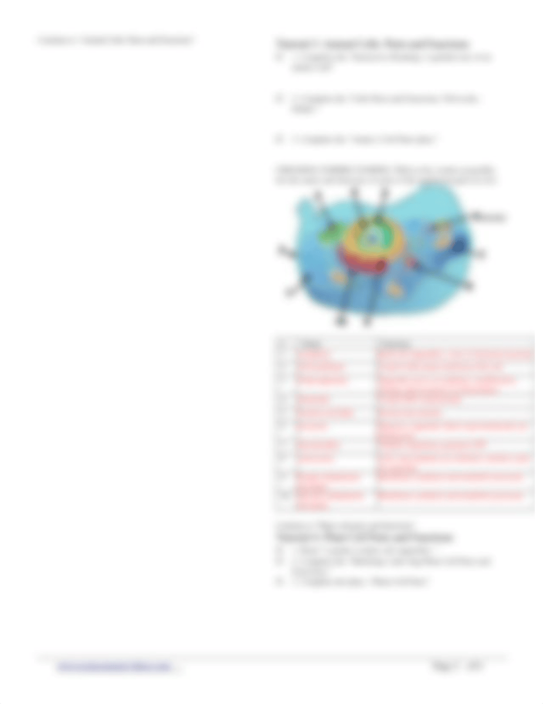 Cell Structure Review.docx_dfpcobu5fwd_page2