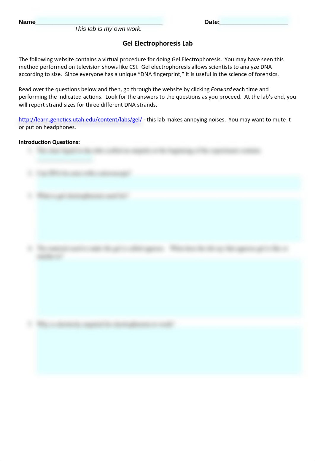 DNA Gel Electrophoresis-2.pdf_dfpenctr9ap_page1