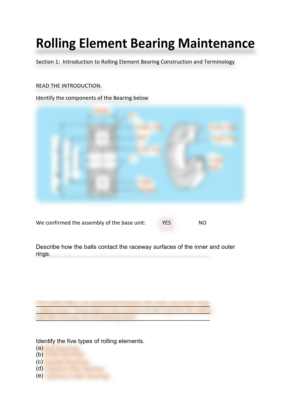 Rolling Element Bearing Maintenance Sheet to turn in.pdf_dfpijydxhk6_page1