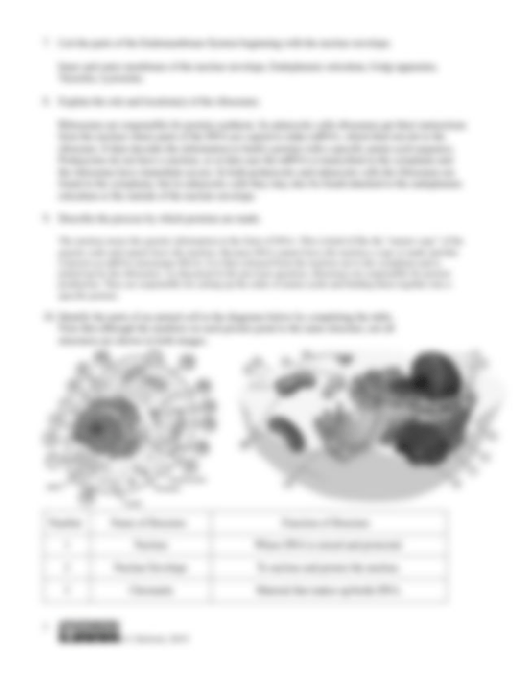 Cell Structure Concept Check.pdf_dfpmwhwqcp7_page2