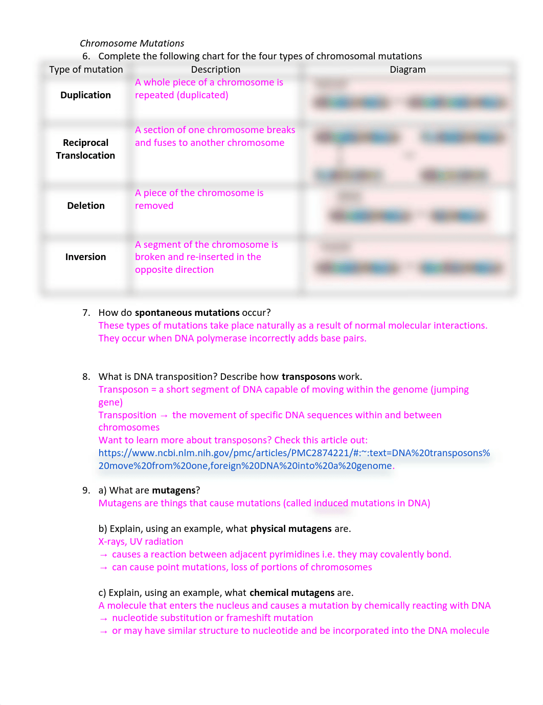 Answers - Genetic Mutations Worksheet 2021.docx.pdf_dfpmyff90xn_page2