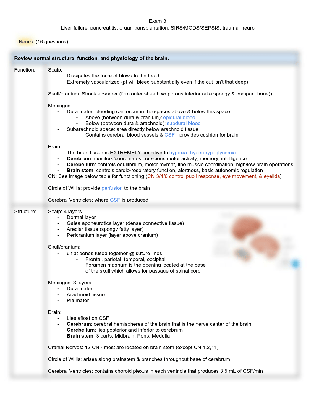 Adult 2 Exam 3 (1).pdf_dfpmz8bjavd_page1