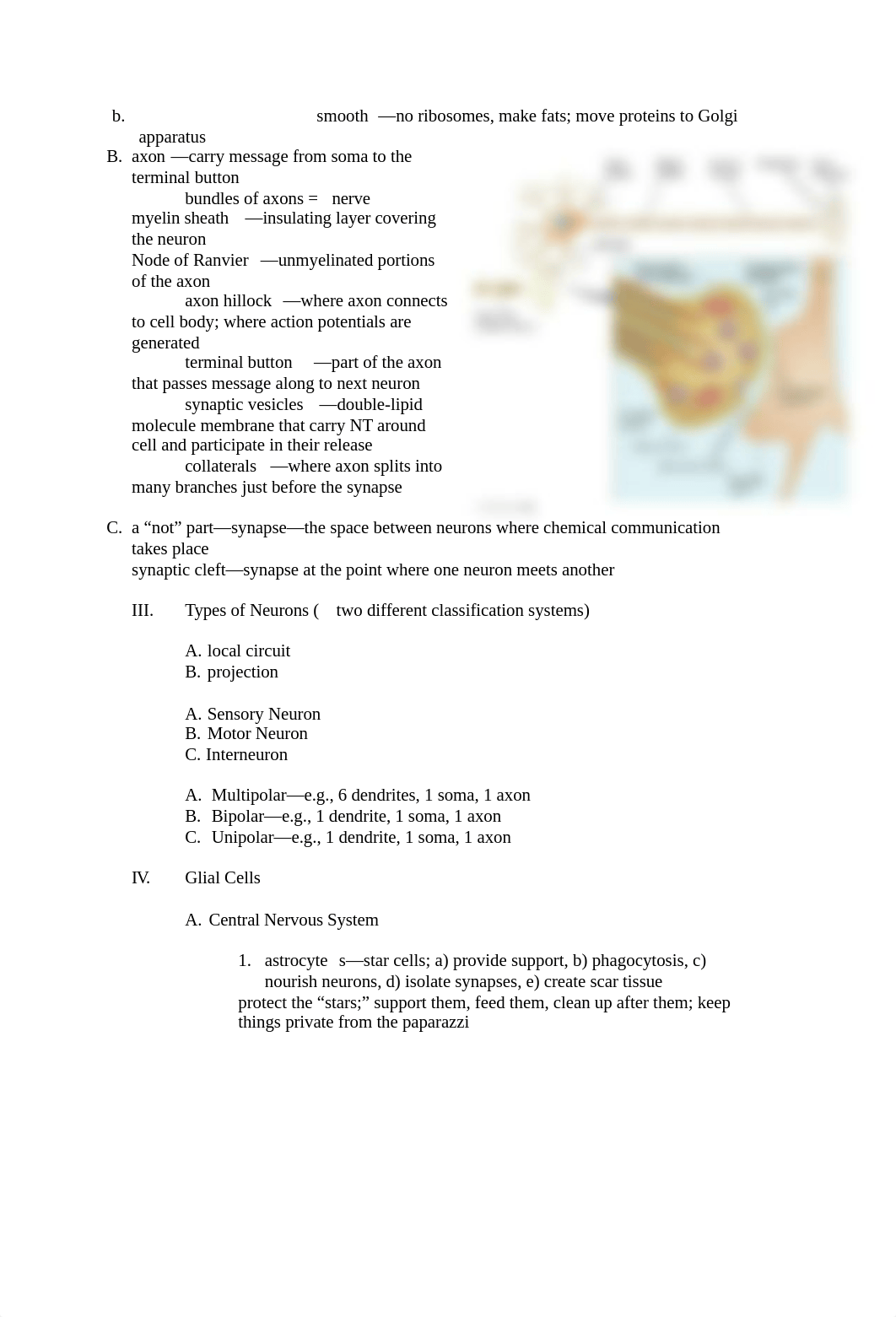 Biological Bases of Behavior Exam 2_dfpwdq05k15_page2