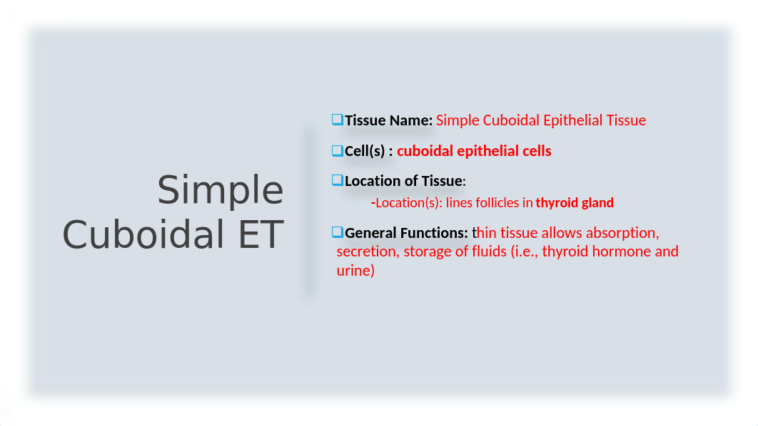 Histology Atlas PowerPoint Project (FINAL).pptx_dfpwundjn3f_page5