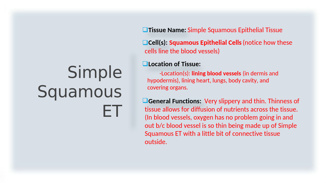 Histology Atlas PowerPoint Project (FINAL).pptx_dfpwundjn3f_page3