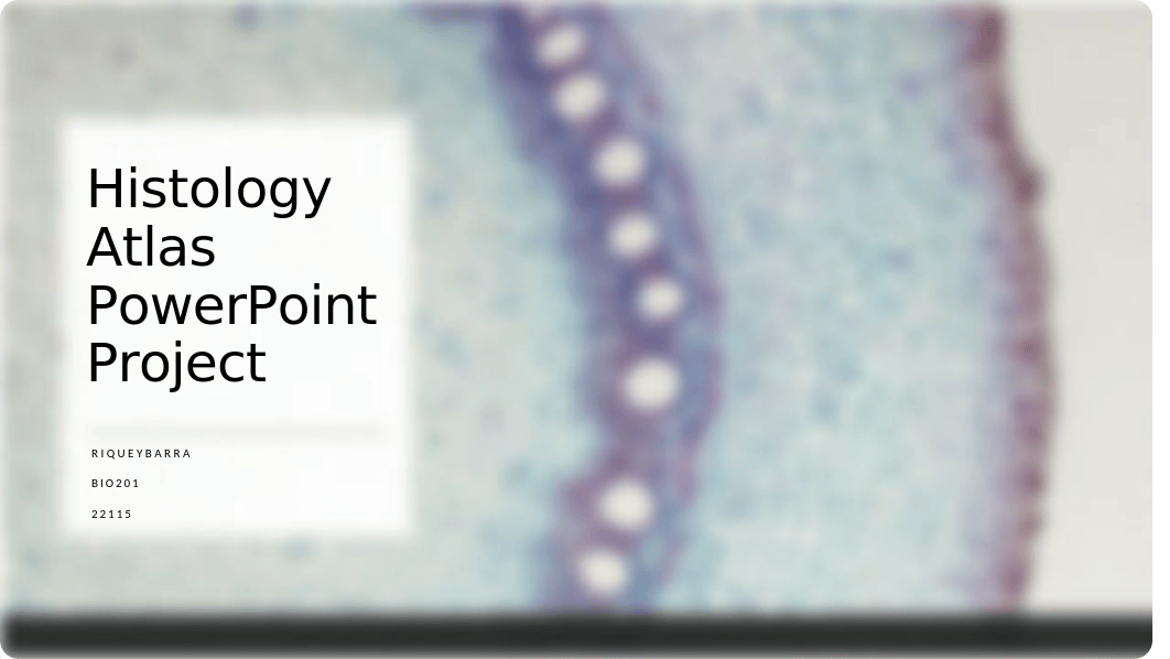 Histology Atlas PowerPoint Project (FINAL).pptx_dfpwundjn3f_page1