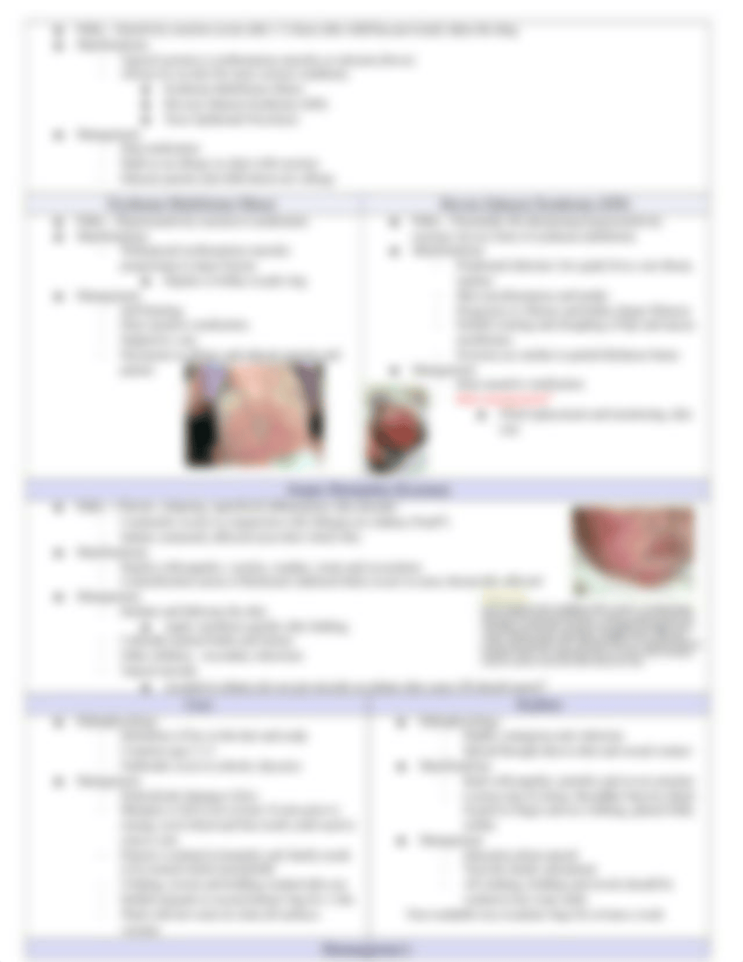 Quiz6_Skin.docx_dfq5nr4nd7s_page3