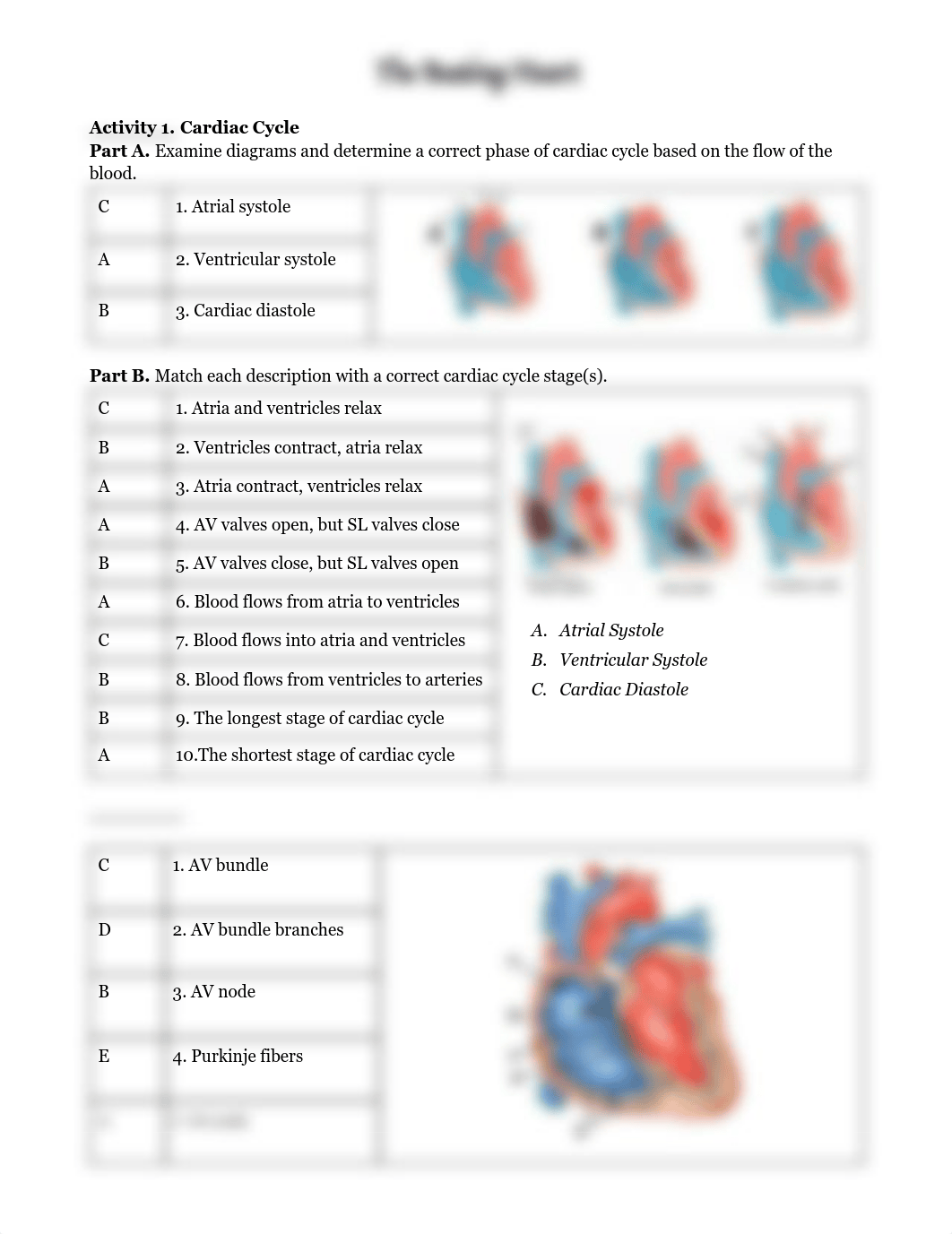 __ Beating Heart Worksheet.pdf_dfq612mt3a0_page1