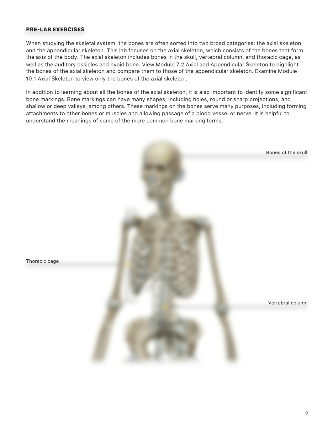 Lab Manual.pdf_dfqahtbciq4_page2