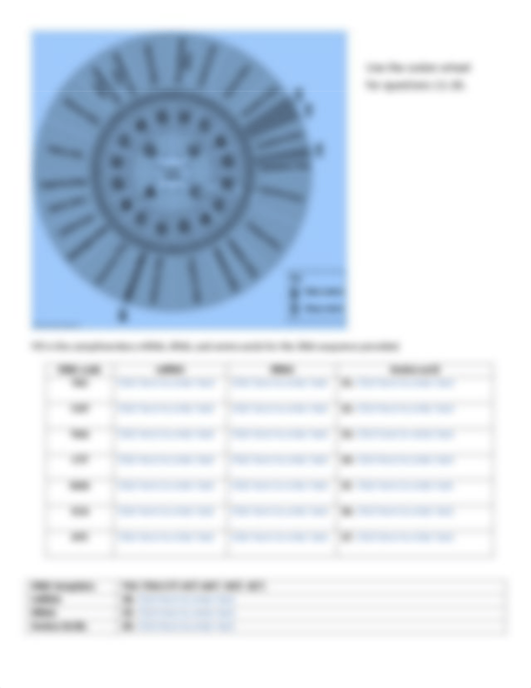 DNA and Protein Synthesis.pdf_dfqf4apzkhm_page2