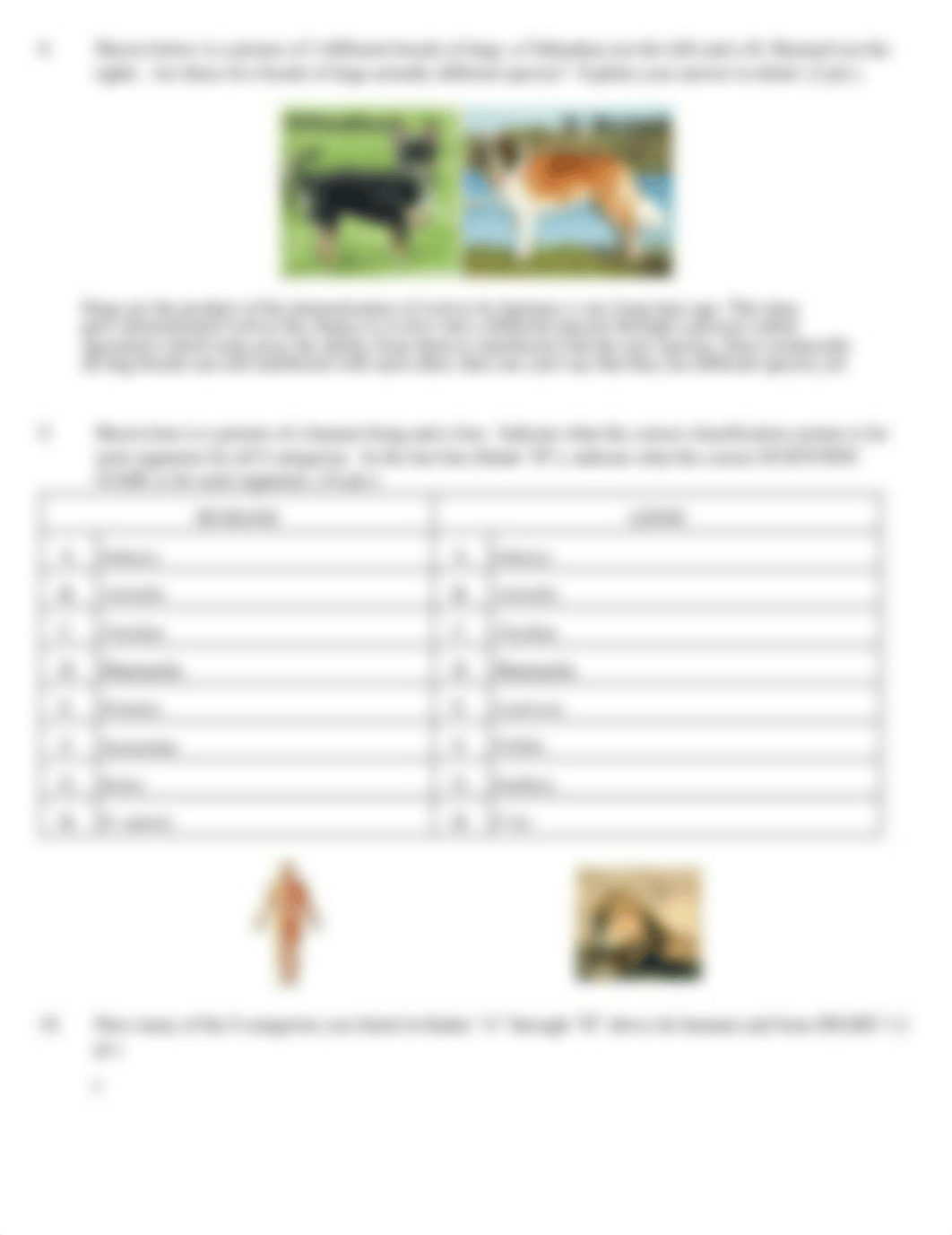 Taxonomy Scavenger Hunt WORD.pdf_dfqiogpom9u_page2