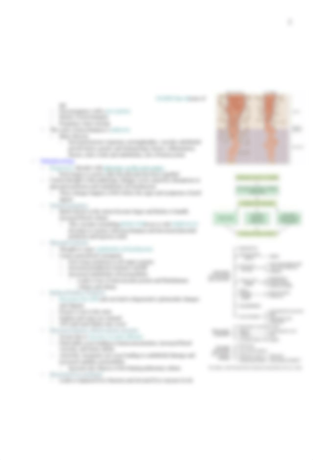 Chapter 27 Hypertensive Disorders in Pregnancy Outline Sp17.docx_dfqj9jhhk63_page2