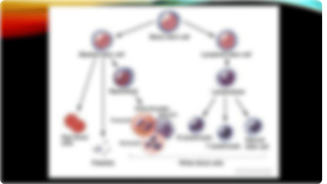 Acute Lymphoblastic Leukemia.pptx_dfqxeggbjpl_page3