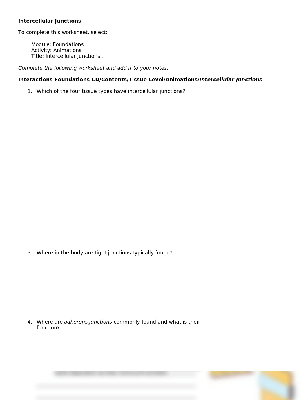 intracellular junctions.doc_dfqykdg3yhe_page1