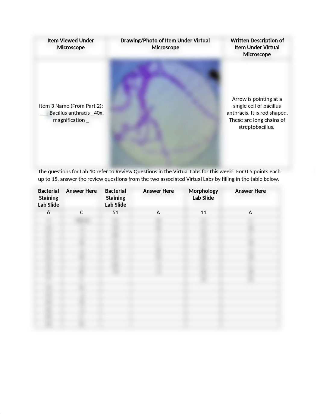 Lab 10 Microscopy and Bacterial Staining.docx_dfr2nwlh0b9_page2