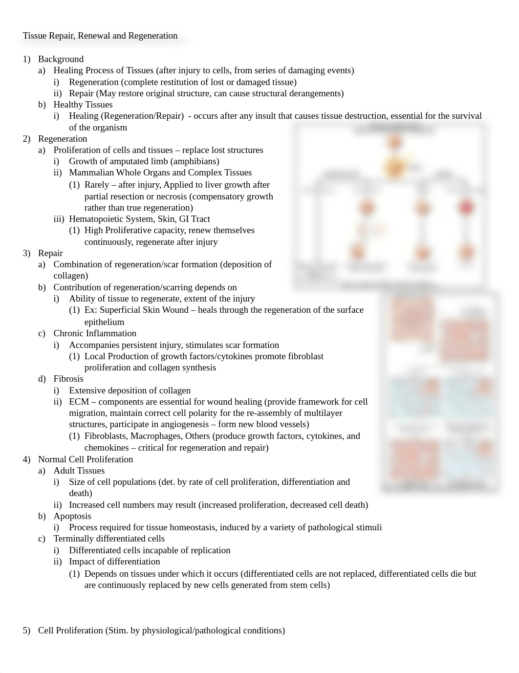 Pathology Chapter Three Robbins_dfr7ys52y8o_page1