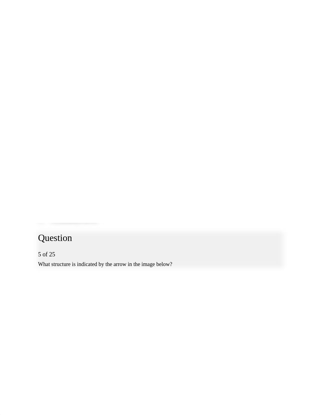 lab quiz 11.docx_dfra57obl7x_page4