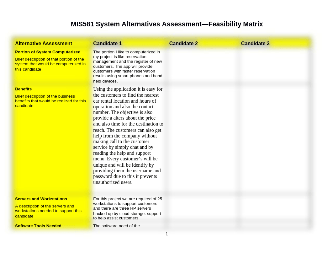 MIS581-System-Alternatives-Assessment-Feasibility-Matrix(1)_dfrcczcdvfn_page1