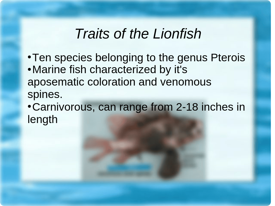 Lionfish Presentation_dfrdnf0oz0b_page2