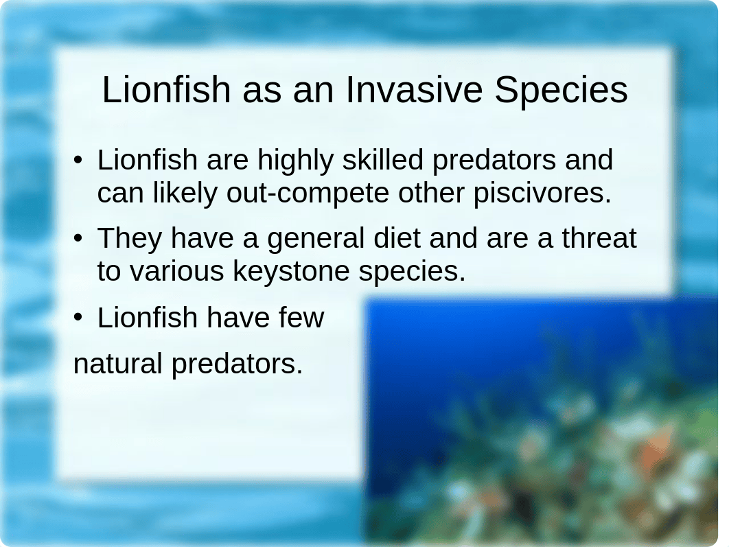 Lionfish Presentation_dfrdnf0oz0b_page5